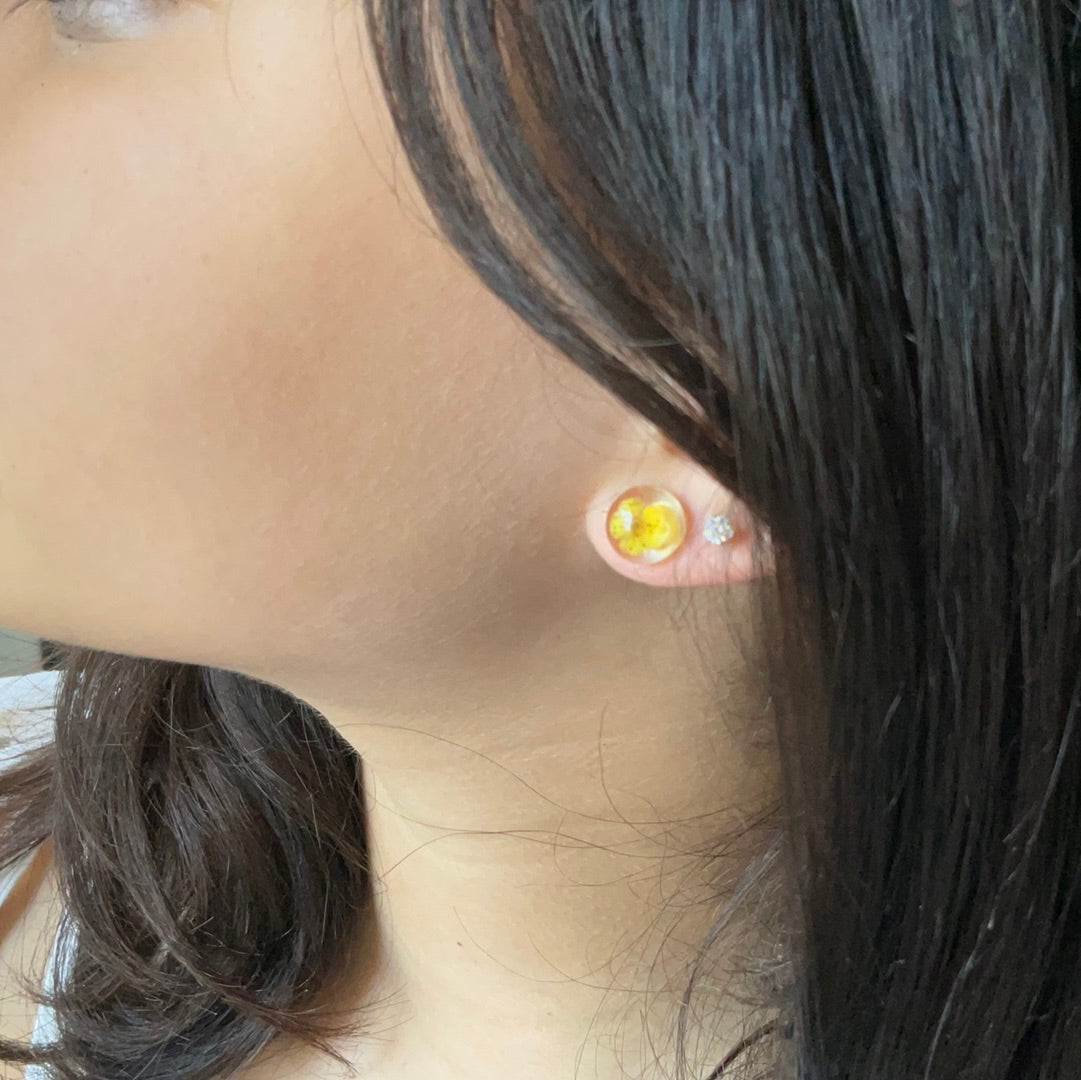 Yellow resin studs