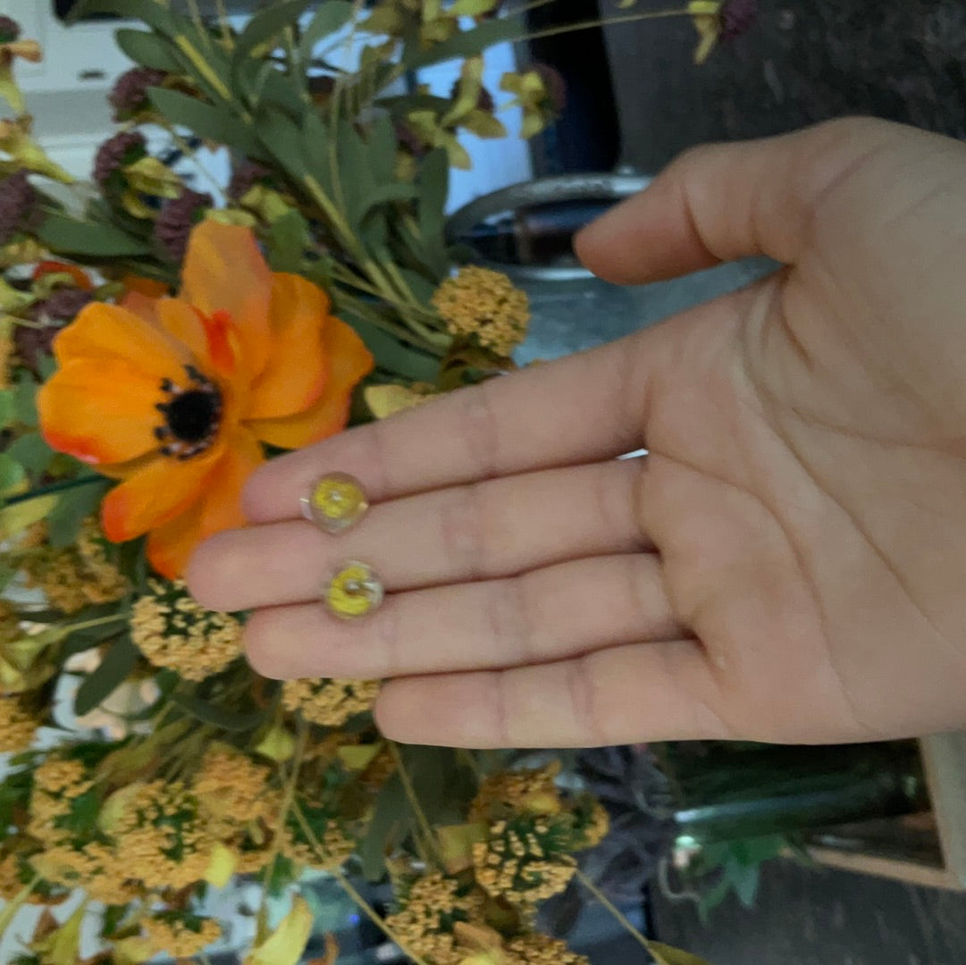 Yellow resin studs