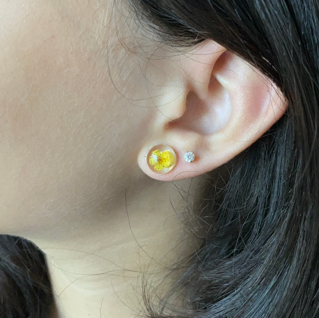 Yellow resin studs